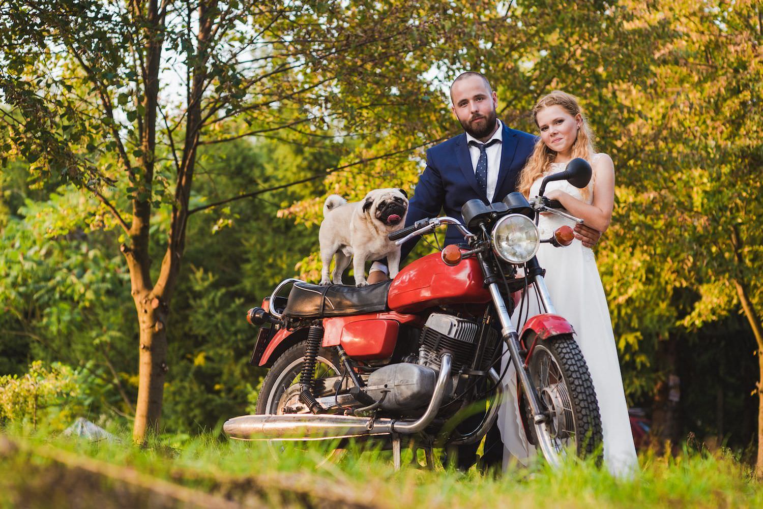 bride and groom on the motorbike nature portrait photography dog
