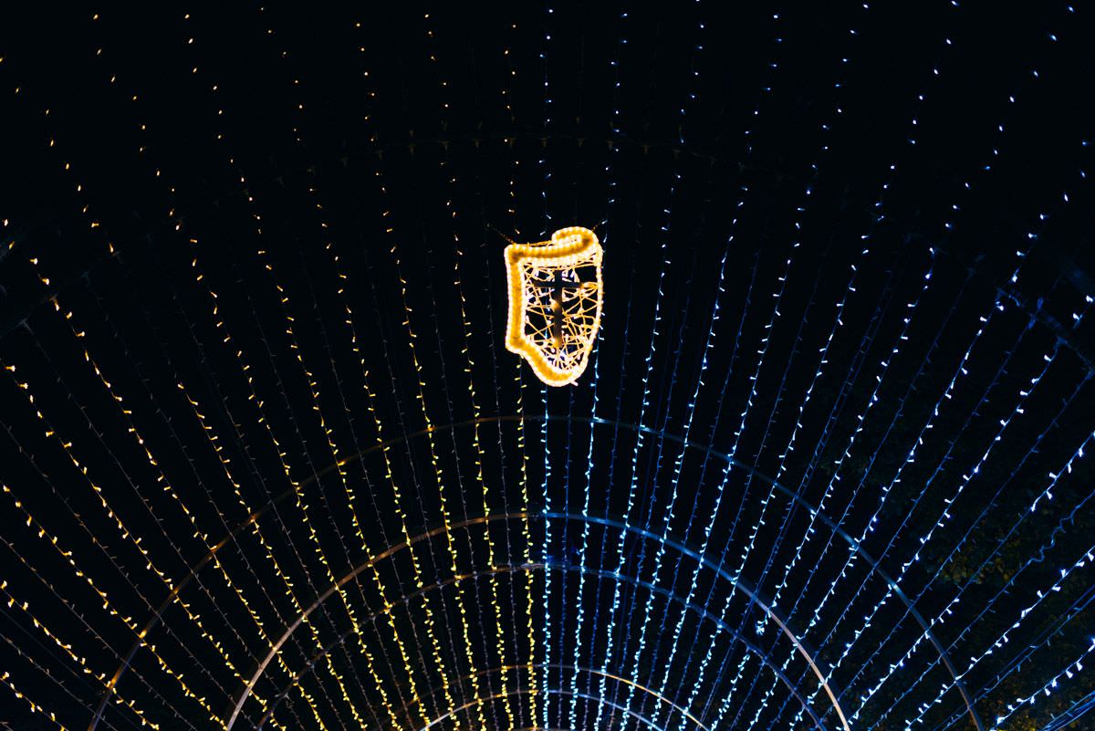 royal garden of light wilanow yellow and blue lights