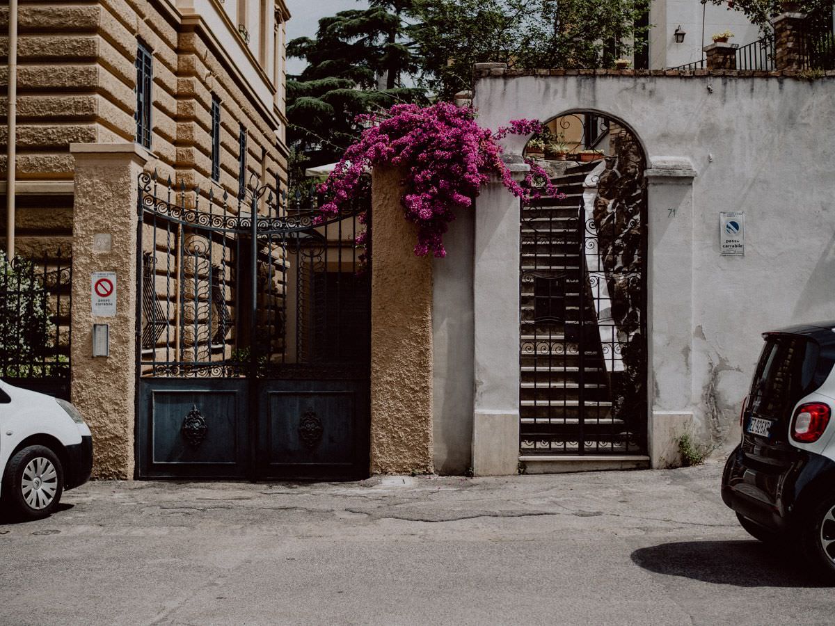 pink flowers on the italian street