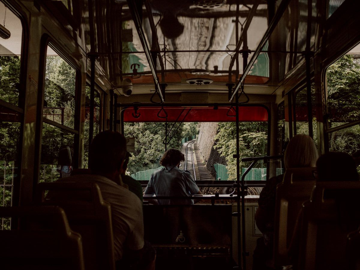 roller coaster to the castle